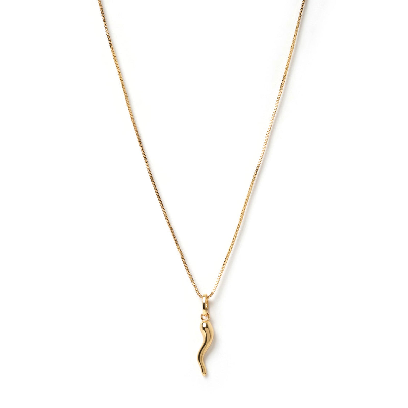 Cornicello Gold Charm Necklace - Large