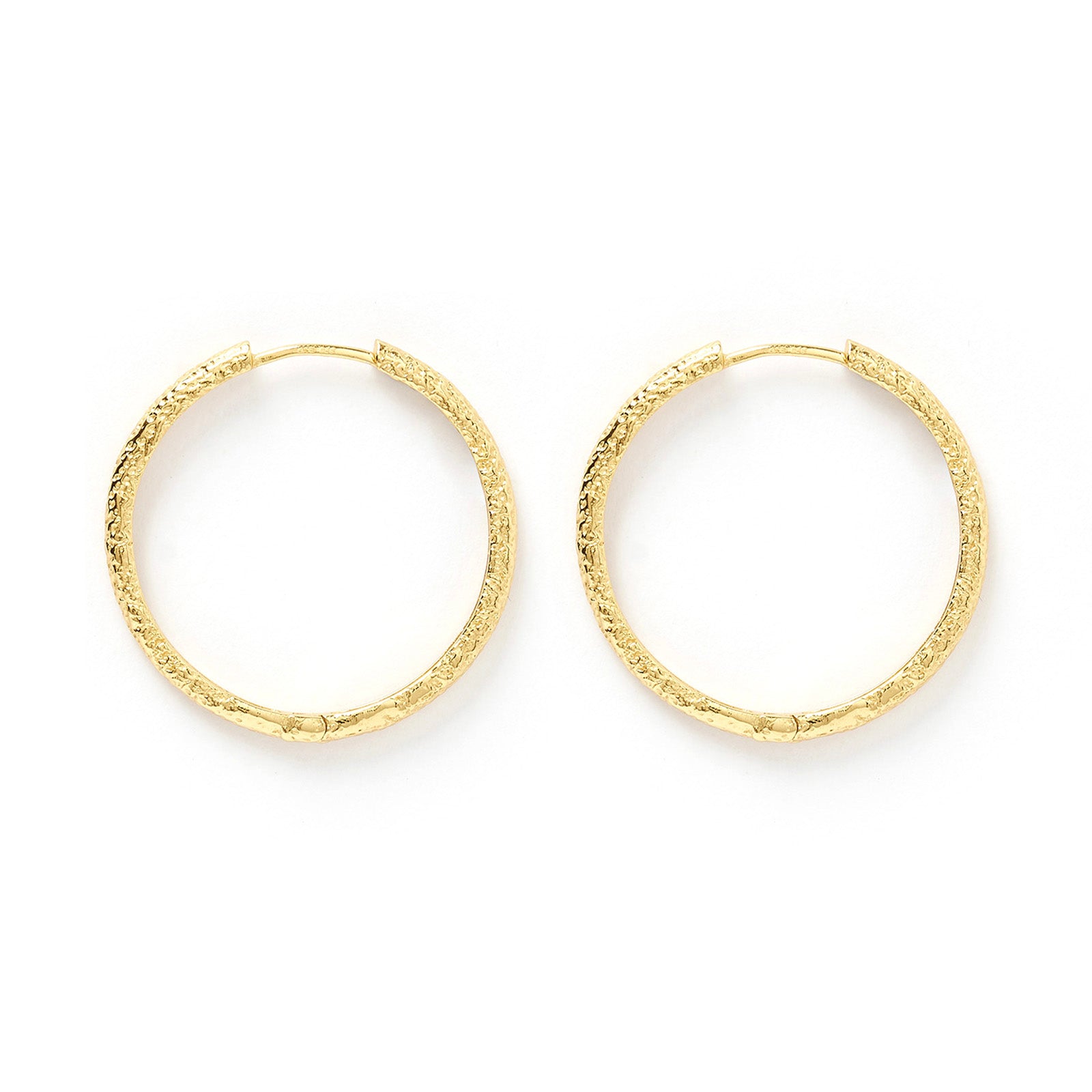 Sebastian Gold Hoop Earrings