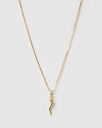 Cornicello Gold Charm Necklace - Large